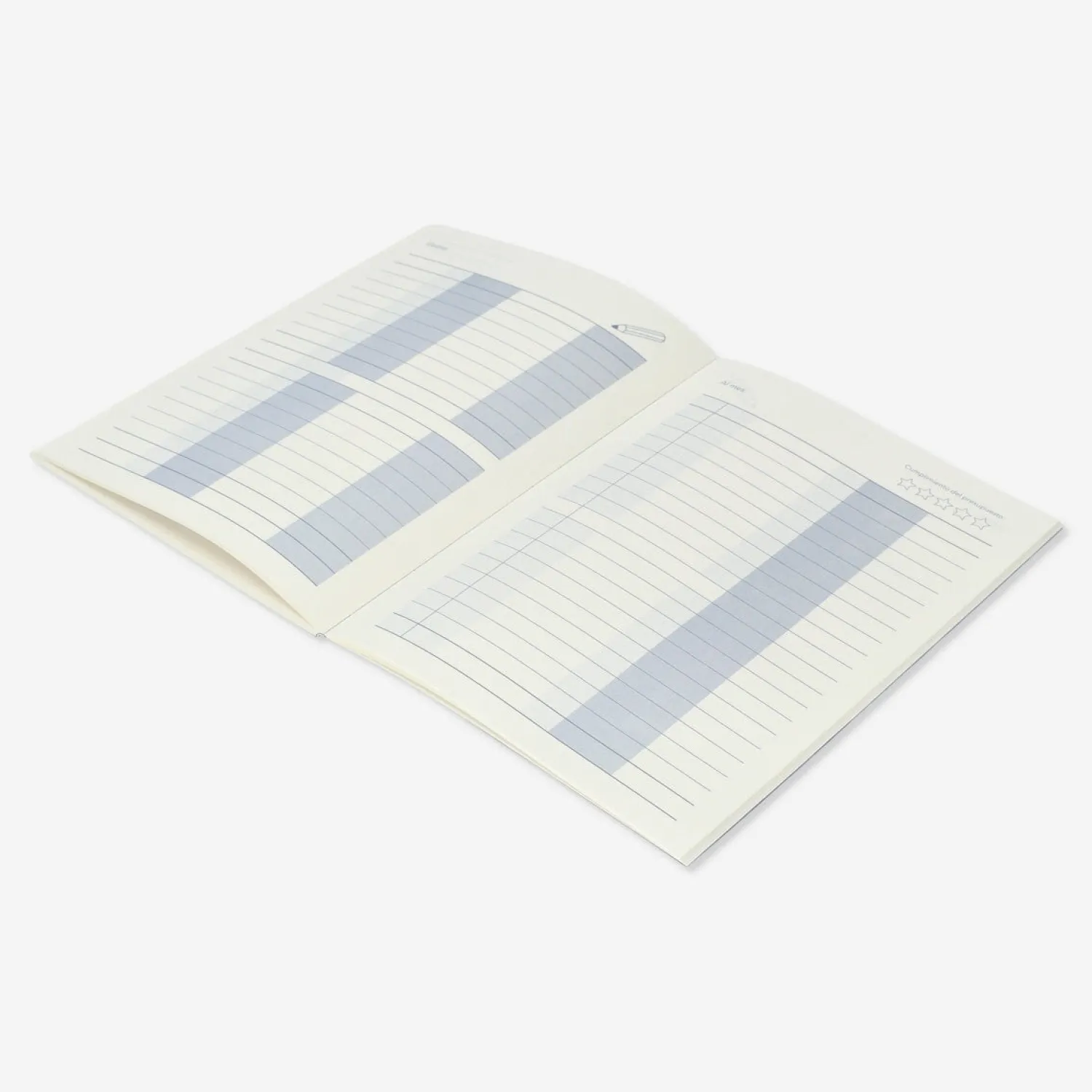 Clearance Flying Tiger Budget-Planer. Spanisch