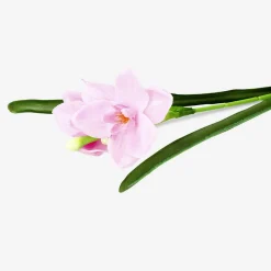 Best Flying Tiger Dekorative rosa Blume