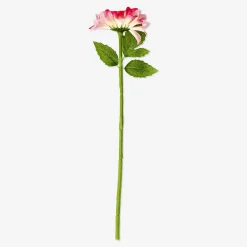 Outlet Flying Tiger Dekorative rosa Blume