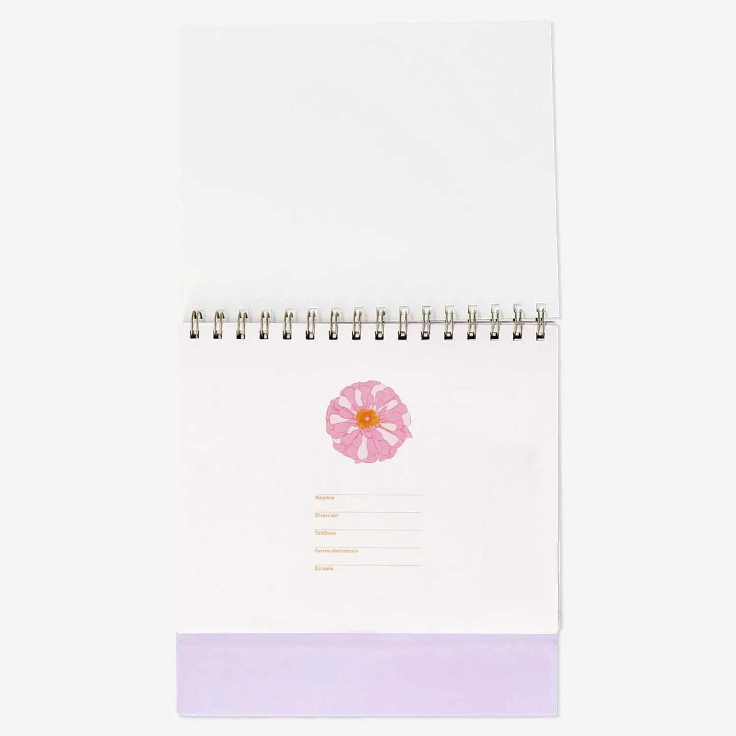 Outlet Flying Tiger Gradient desk study planner - Spanisch