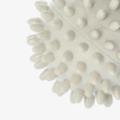 Fashion Flying Tiger Massageball