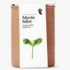 Best Flying Tiger Minze. Kräuterkanne