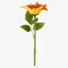 Sale Flying Tiger Orangefarbene Zierblume