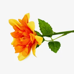 Sale Flying Tiger Orangefarbene Zierblume