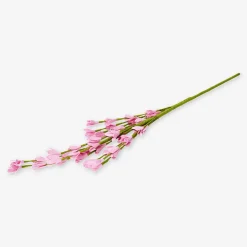 Sale Flying Tiger Rosa Zierblume