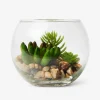 Clearance Flying Tiger Terrarium