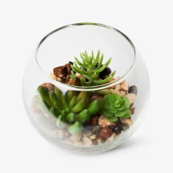 Clearance Flying Tiger Terrarium
